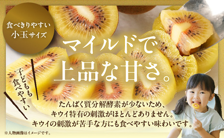 【先行受付】さぬきエンジェルスイート（小玉） 約2.0kg【香川県共通返礼品】|さぬき エンジェルスイート 果物 フルーツ 小玉 人気 香川 香川県 三木町 厳選 追熟 ジューシー 糖度が高い 先行受付 先行予約 季節限定 旬 おすすめ|_mk006-022