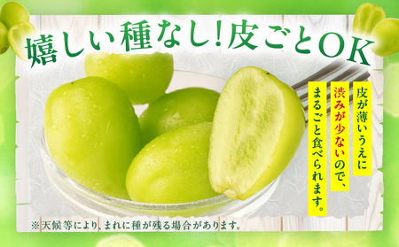 【先行受付】特大シャインマスカット1房 約750g |マスカット ぶどう ブドウ 葡萄 果物 フルーツ 人気 香川 香川県 三木町 特大 大房 大粒 厳選 種なし 皮ごと食べられる ジューシー 糖度が高い 先行受付 先行予約 季節限定 旬 おすすめ |_mk006-018