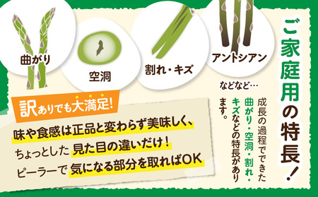 【先行受付】ご家庭用アスパラガス「さぬきのめざめ」(セミロング)夏芽 サイズ混合 約1kg | 野菜 アスパラ アスパラガス さぬきのめざめ 家庭用 夏 冷蔵 新鮮 香川県 三木町 セミロング おすすめ |_mk006-024