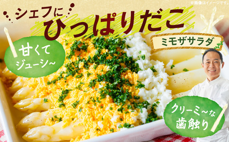 ホワイトアスパラガス約1kg（6～7月出荷）|アスパラ アスパラガス ホワイトアスパラガス 新鮮 素材の味 夏野菜 直送 香川県 三木町|_mk002-003