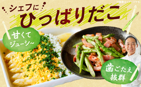 グリーン・ホワイトアスパラガス約1kg（6～7月出荷） | ホワイトアスパラ アスパラガス グリーンアスパラ アスパラ 野菜 生野菜 夏野菜 直送 新鮮 おすすめ 柔らかい  香川県 三木町 |_mk002-004