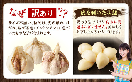 三木町産訳あり乾燥にんにく 約2.8kg | にんにく ニンニク ガーリック 野菜 食材 肉厚 濃厚 長期保存 乾燥 自宅用 家庭用 薬味 料理 スタミナ料理 栄養 香川県 三木町 おすすめ |_mk006-029
