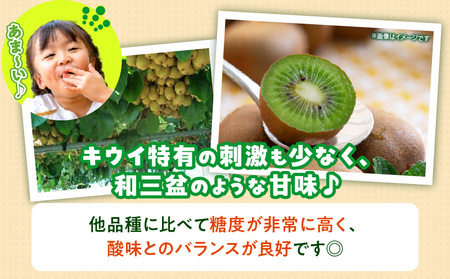 【先行予約】さぬきキウイっこ5.0kg【香川県共通返礼品】|キウイ 果物 フルーツ デザート 旬 旬の果物 季節 季節の果物 人気 おすすめ 贈り物 贈答 プレゼント ご褒美 キウイフルーツ さぬきキウイ 香川 香川県 三木町 送料無料|_mk025-003