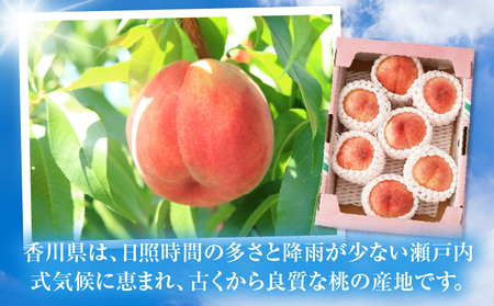 さぬきの桃　約1.8kg(5～10玉入り)　（さぬき市共通返礼品） | もも モモ 桃 果物 フルーツ さぬきの桃 香川県 三木町 青果物 デザート 旬 国産 おすすめ |_mk006-035