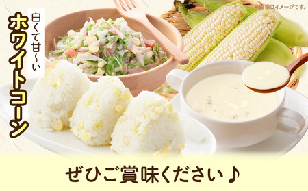 三木町産　ホワイトコーン　約3.0kg | とうもろこし 野菜 コーン 旬の野菜 旬 季節の野菜 季節 贈答 贈り物 ギフト プレゼント おすそ分け グルメ お取り寄せ 人気 おすすめ 特産 特産品 生鮮食品 香川県 三木町 |_mk006-019