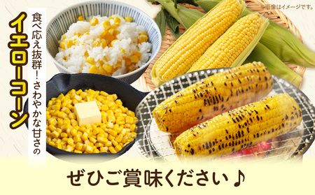 三木町産　イエローコーン　約3.5kg | うもろこし 野菜 コーン イエローコーン 旬の野菜 旬 季節の野菜 季節 贈答 贈り物 ギフト プレゼント おすそ分け グルメ お取り寄せ 人気 おすすめ 特産 特産品 生鮮食品 香川県 三木町 |_mk006-040