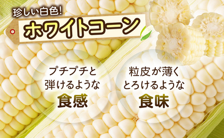三木町産　イエローコーンとホワイトコーンの食べ比べセット | とうもろこし ホワイトコーン イエローコーン 食べ比べ セット 食べ比べセット 詰め合わせ 野菜 旬 旬の野菜 季節の野菜 グルメ お取り寄せ 人気 おすすめ 香川県 三木町 |_mk006-041