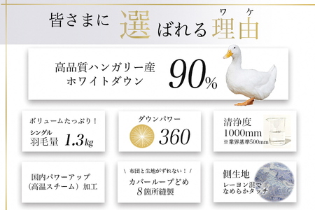 【ブルー】羽毛布団 本掛け布団 シングル ハンガリーホワイトダウン90％ アクア