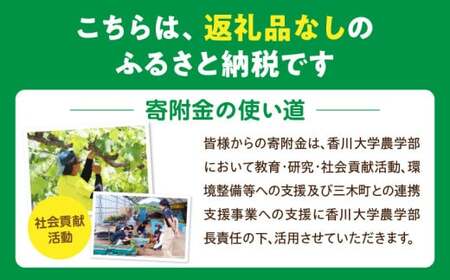 【お礼の品なし】大学支援事業（香川大学農学部）500,000円 | 支援 ふるさと支援 地元応援 応援 地元支援 教育・研究・社会貢献活動 環境整備 香川県 三木町 |_mk169-005