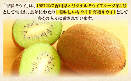 キウイフルーツ(香緑)　1.2kg | キウイ フルーツ 果物 旬 旬の果物 キウイフルーツ デザート 生鮮食品 贈り物 贈答 お裾分け おすすめ 人気 ギフト グルメ 特産品 果肉 季節 季節の果物 香川県 三木町 |_mk165-012