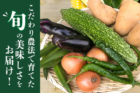 ＜ハーフサイズ＞ 『身体が喜ぶ野菜』詰め合わせ ( おまかせ ) 野菜 詰合せ 詰め合わせセット お任せ 季節の野菜 セット 栽培期間中農薬不使用 有機栽培 微生物農法 EM農法 露地栽培 産地直送 新鮮 野菜ボックス ギフト 家庭用 茨城県 潮来市 (A03-002)