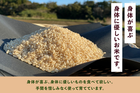 ＜玄米 5kg＞『身体が喜ぶ野菜とお米』詰め合わせ おまかせセット 茨城県産 コシヒカリ 米 お米 ご飯 ごはん 栽培期間中農薬不使用 季節の野菜 セット 微生物農法 EM農法 有機栽培 産地直送 新鮮 家庭用 潮来はぐくみのもり 茨城県 潮来市 (A03-003)