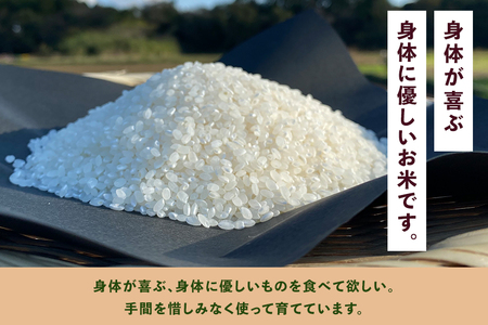 ＜白米 5kg＞『身体が喜ぶ野菜とお米』詰め合わせ おまかせセット 茨城県産 コシヒカリ 米 お米 ご飯 ごはん 栽培期間中農薬不使用 季節の野菜 セット 微生物農法 EM農法 有機栽培 産地直送 新鮮 家庭用 潮来はぐくみのもり 茨城県 潮来市 (A03-004)