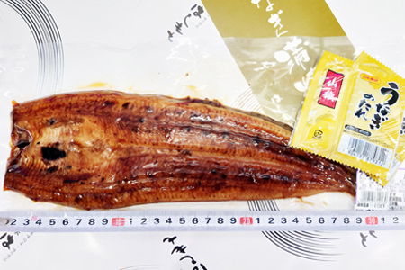 超特大!やわらか 国内産うなぎ蒲焼 220～250g 1尾 肉厚ジューシー 国産ブランド鰻 ふっくら仕上げ 蒲焼きのタレ・山椒付き 湯煎で簡単調理 うな丼 うな重 ギフト 贈答用 冷蔵配送 国産 茨城県 潮来市 (A23-003)