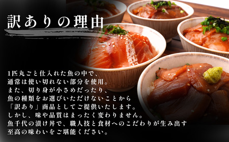 魚千代自家製　山口の海鮮漬け丼(サケ、タイ、ヒラマサ等)5種×各1パック入 酒の肴に海鮮丼に茶漬けに飯ともに