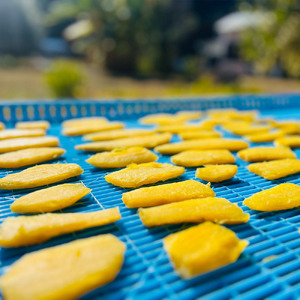 【令和８年11月下旬】干し芋 ひいとい干し 100g×3袋 干しいも さつまいも サツマイモ 和菓子 お菓子 デザート 和スイーツ おやつ 甘い おいしい【R01515】