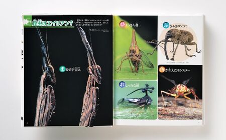 本 講談社の動く図鑑MOVE 生きもの 7冊 セット 入学・進級お祝い 子供 小学生 学習 ギフト 贈答 プレゼント