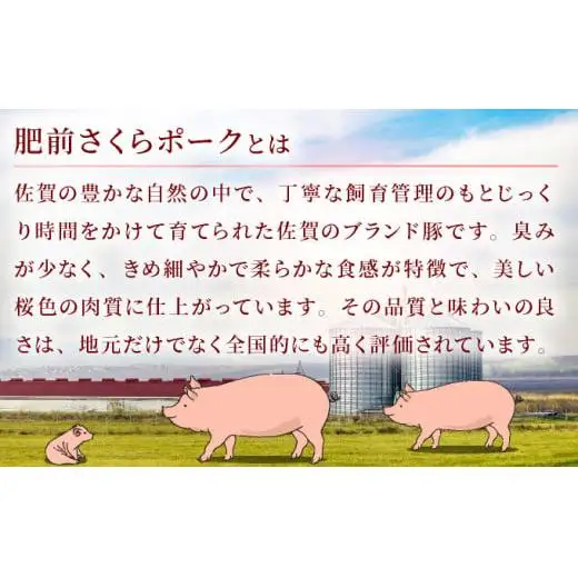 佐賀県産 肥前さくらポーク 豚ロース･豚モモ しゃぶしゃぶ用 1900g(ロース650g×1P・モモ625g×2P )  B-1065