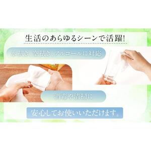 不織布ウエス「きれい君」