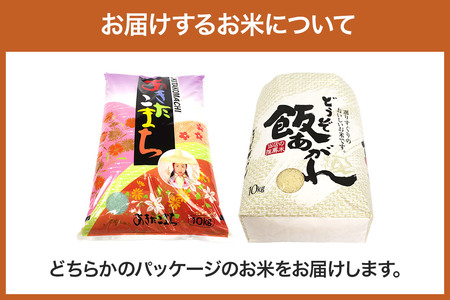 小坂の恵み あきたこまち 10kg（10kg×1袋）【白米】お米 あきたこまち 秋田県 小坂町