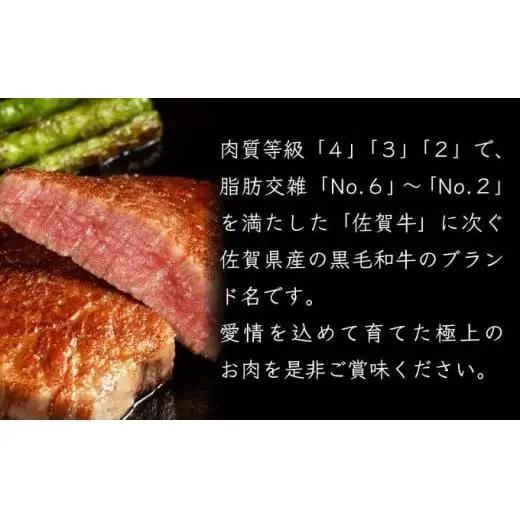 【佐賀産和牛】ヒレサイコロステーキ500g E-282