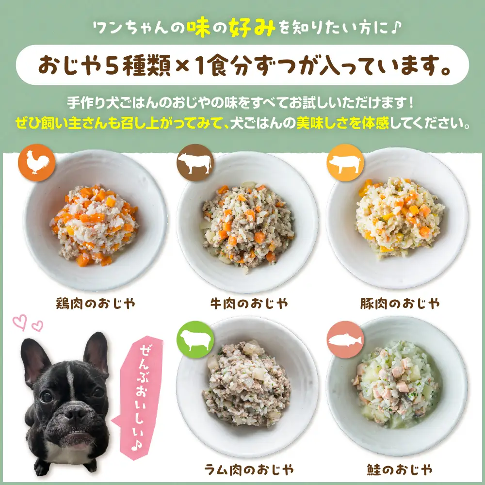 ワンちゃん用おじや5食セット　【100g×5袋】