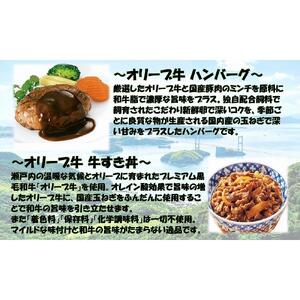 オリーブ牛100％肉汁ハンバーグ4枚(120g×4枚)セット