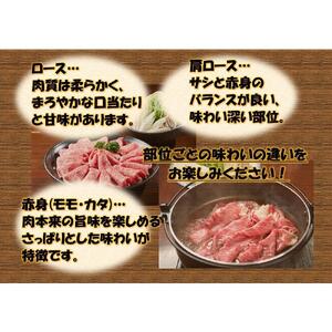 オリーブ牛　肩ロース堪能セットA　800g