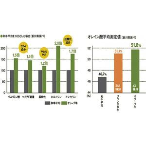 オリーブ牛＆豚焼肉三昧セット　3600g