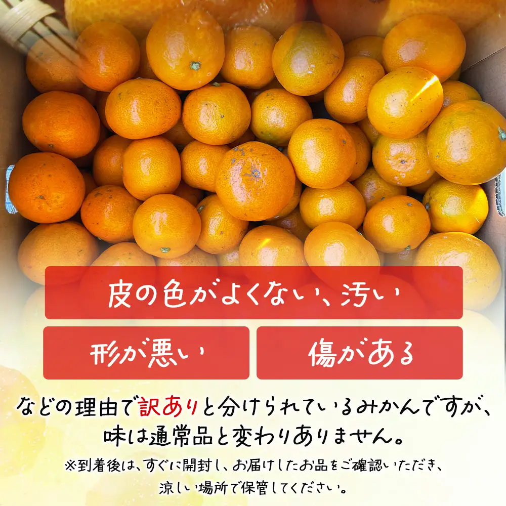 訳あり 山北みかん 5kg みかん th-0031