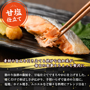 ＜訳あり＞ 甘塩 銀鮭切り落とし (1kg・500g×2) 甘塩 小分け 切り身 鮭 海鮮 魚介類 さけ 鮭 しゃけ 鮭切身 カット済 塩焼き 簡単 フライ 魚 海鮮 冷凍 お弁当 おかず 【KI-20】【イチマル食品加工】