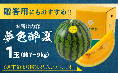 【先行予約】金色羅皇すいか（夢色酔夏：1玉 7〜9kg )  スイカ[AREW003]