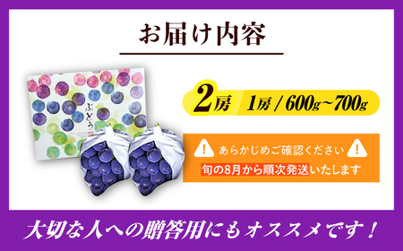 【先行予約・26年8月以降発送】 ピオーネ 1箱(600～700g)×2房 / ピオーネ / 【配送不可地域：北海道・沖縄・離島】 [AREW004]