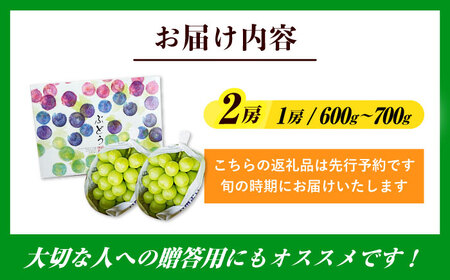【先行予約・26年8月以降発送】シャインマスカット 1箱(600g～700g)×2房  ブドウ 葡萄 フルーツ 果物  シャインマスカット 【配送不可地域：北海道・沖縄・離島】[AREW005]