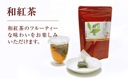 【選べるティーバッグ】　「煎茶」「和紅茶」 計5袋セット お茶 紅茶 国産 白川町 / 菊之園[AWAG007]
