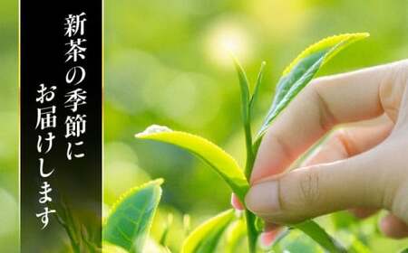 【先行予約 2026年産 新茶】 美濃白川茶 新茶セット 100g×2袋 白川町 / 白川町農業開発[AWAH005]
