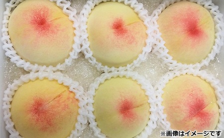 桃 2026年 先行予約 11月の旬な 白桃 冬桃 をお届け！約1.5kg 5～7玉 糖度センサー選果 糖度12度以上 もも モモ 岡山県 赤磐市産 国産 フルーツ 果物 ギフト あみかフルーツ　岡山 旬の桃 少し小ぶり