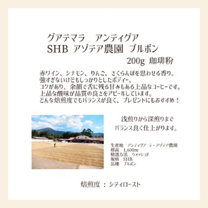 【上田珈琲豆焙煎堂】珈琲豆 中深煎り セット 200g×2種 セット ブラジルブルボン・グアテマラSHB【粉】 HNNBM008