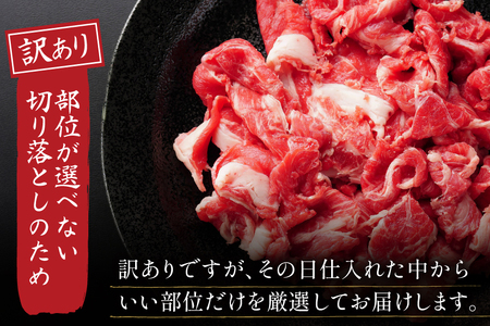 牛肉 訳あり 博多和牛 A4 ランク 切り落とし 400g [木村食品 福岡県 筑紫野市 21760918]