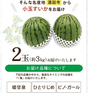 SA2953　庄内産 小玉すいか　約3kg(2玉入) 品種おまかせ