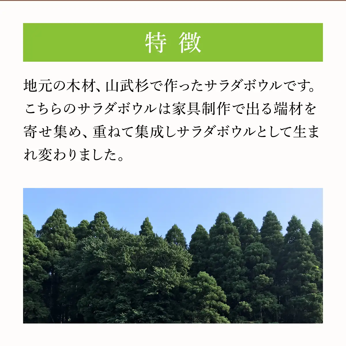 山武杉サラダボウル漆塗り ／山武杉 天然木 お皿 自然 ぬくもり 杉 漆塗り ギフト プレゼント 千葉県 山武市 SMP003