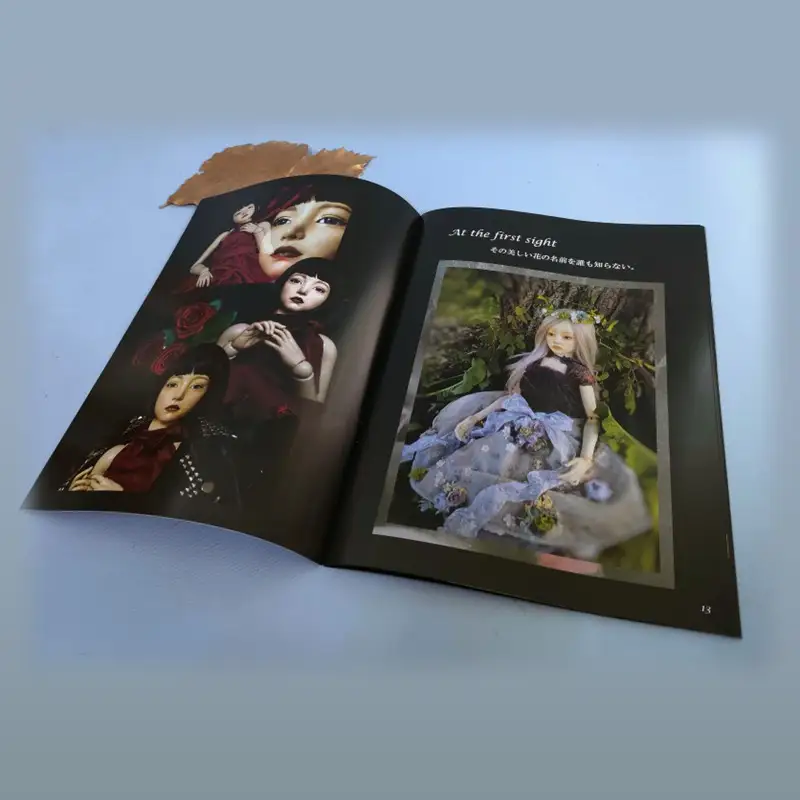 《14営業日以内に発送》Minagawa Dolls 作品集 「Minagawa Dolls Gallery Dreamer」 ( 人形 写真集 作品集 北海道)【190-0003】
