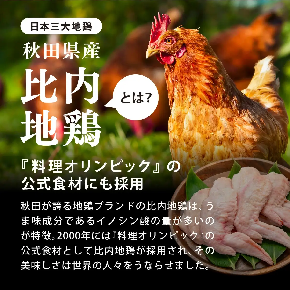 比内地鶏　やわらか手羽先　15本  30P2004