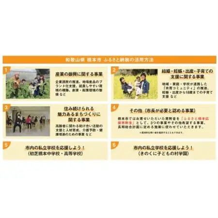 【返礼品なし】和歌山県橋本市への応援寄附金(100,000円分)