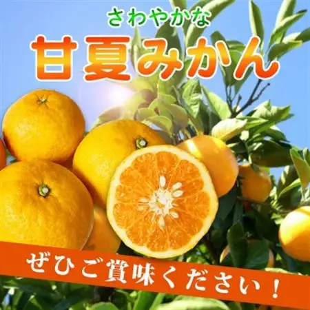 【ご家庭用訳あり】紀州有田産　すっきり爽やか　甘夏みかん　8kg【配送不可地域：離島】【1603672】