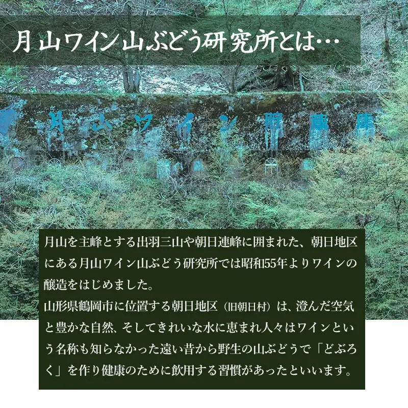 月山ワイン　山ぶどう酒　720ml　[K-732]