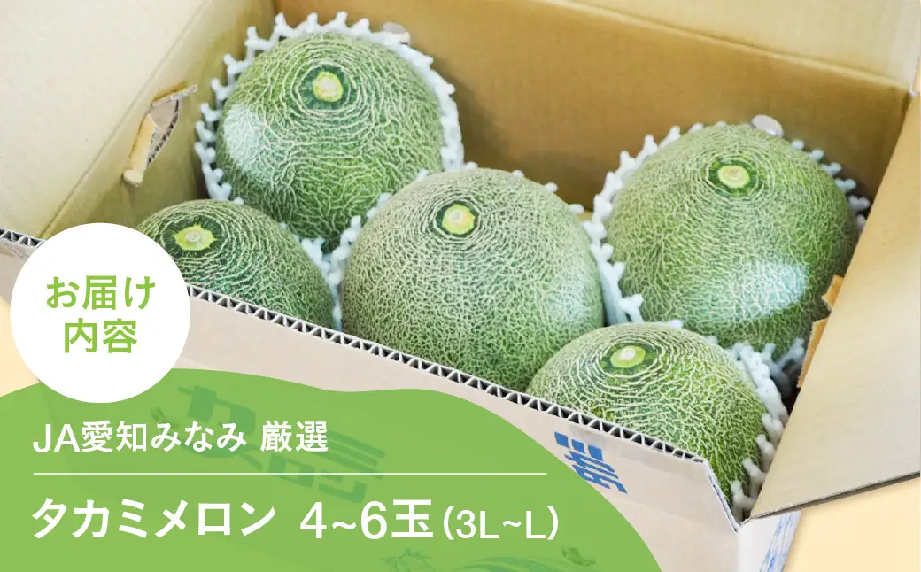 【ふるなびWEEK対象】【先行予約】タカミメロン 4～6玉 メロン JA愛知みなみ