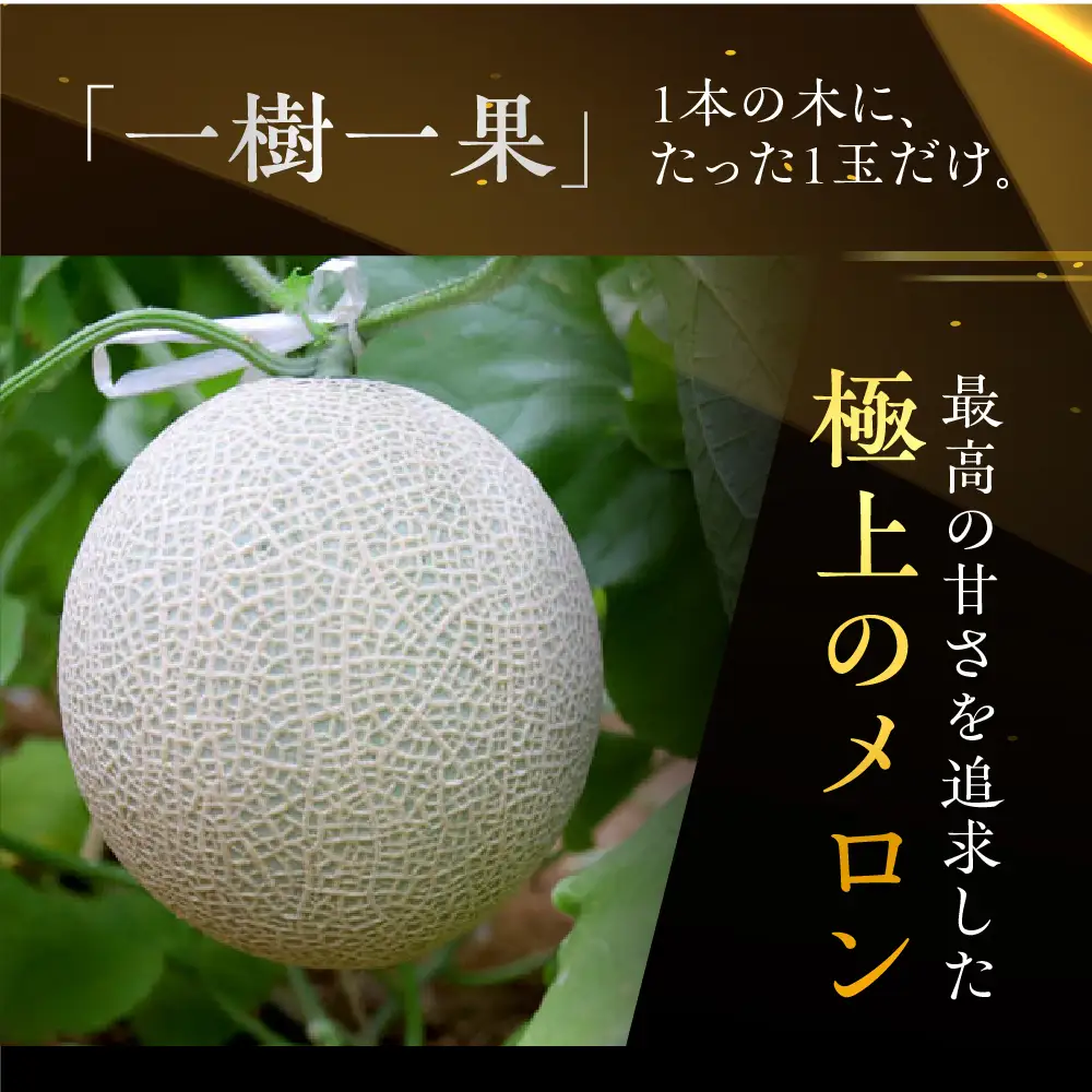 【先行予約】アールスメロン 2玉 メロン JA愛知みなみ