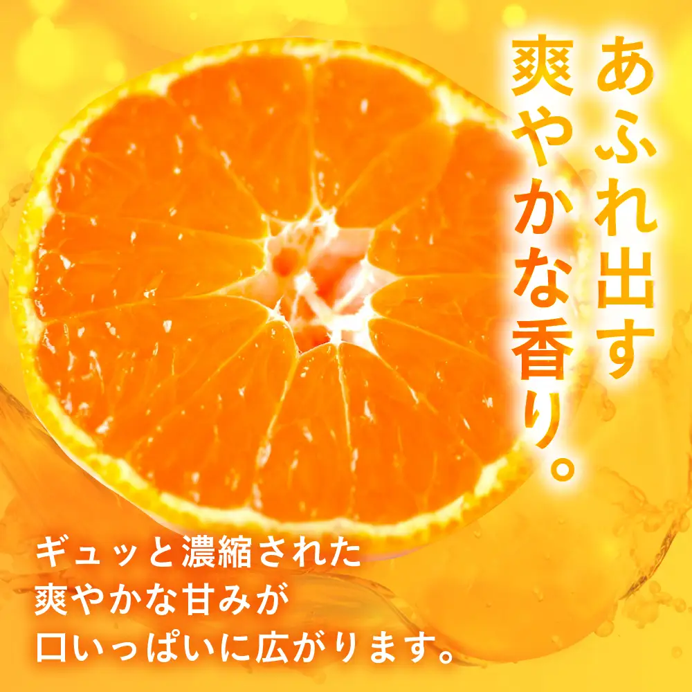 【先行予約】伊良湖 温室みかん 5kg みかん フルーツ