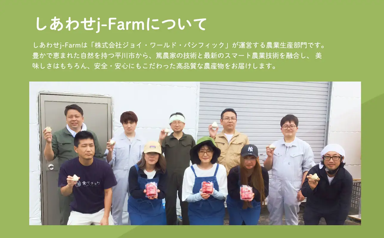 【レビューキャンペーン】6月下旬~7月下旬発送  土付き生にんにく 約1kg 青森県平川市産[hi-0028-010]